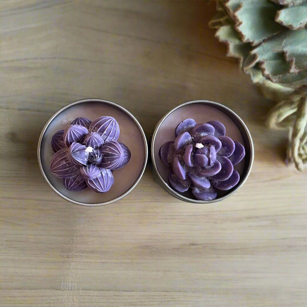 Box Regalo - Duo Fiorito
