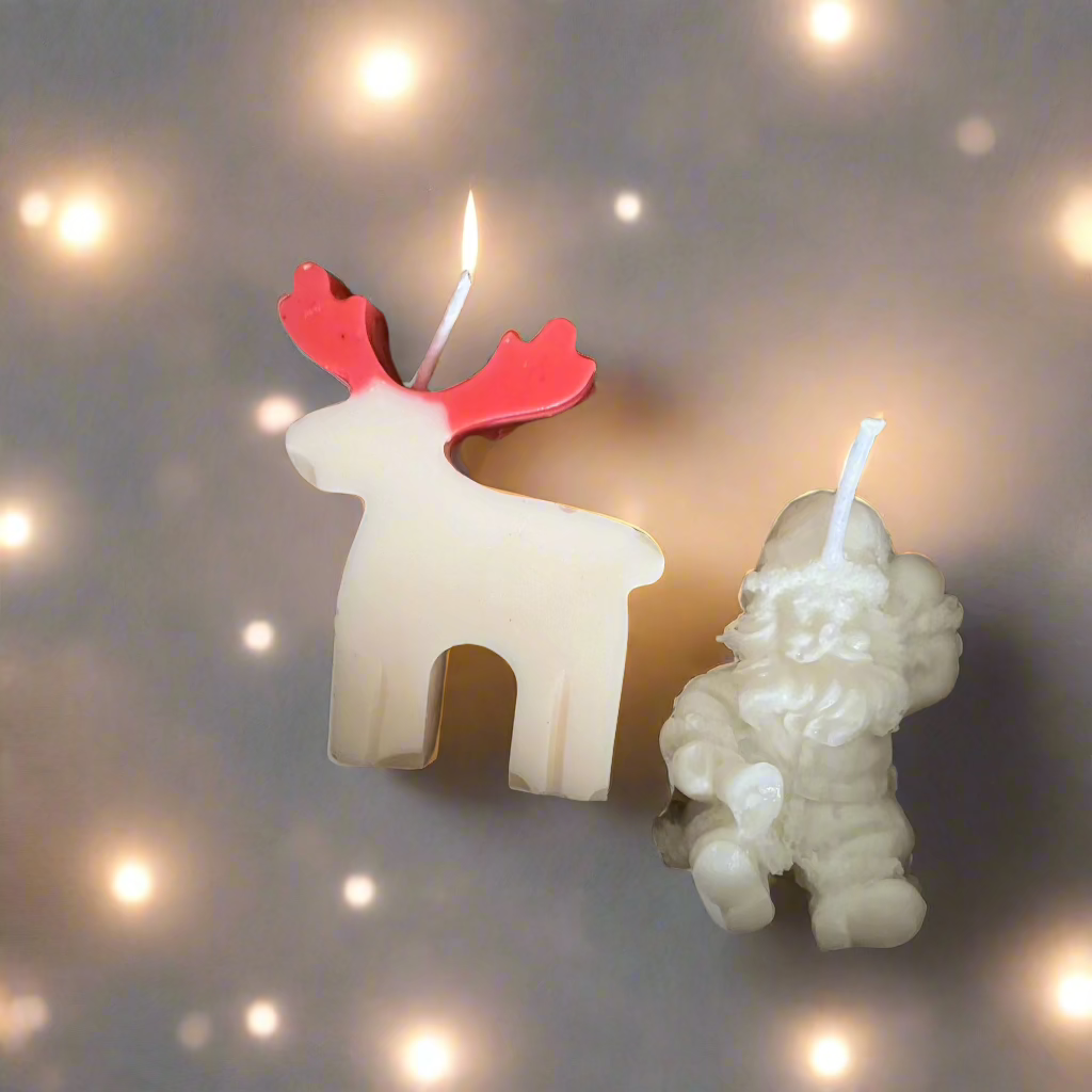 Box Natale - La renna di Babbo Natale